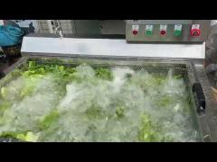 Small Vegetable Washer with 300kg/h Capacity Made In China