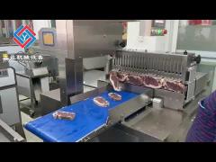 Factory Stainless Steel Bone Saw Frozen Meat Cutting Machine Large Capacity