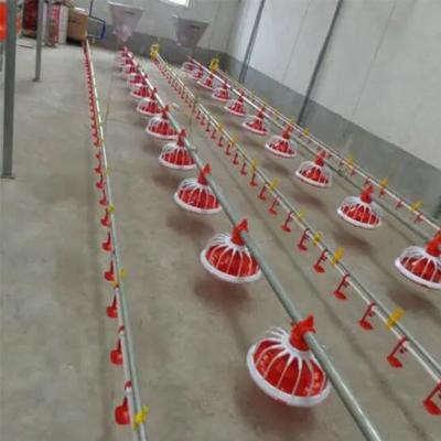 China 380v Poultry Farm Equipment 3 pan/3m Automatic Pan Feeding System for sale