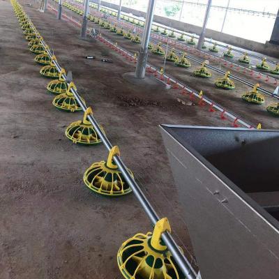 China OEM / ODM Chicken Feed Line Galavnized Stee Broiler Feeding System for sale