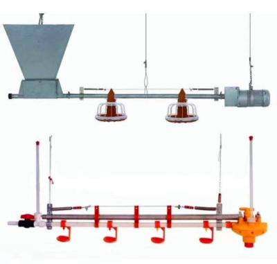 China Fully Automatic Chicken Feeding Line 14/16 Partitions 450kg/H for sale