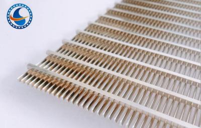China 1.0mm Slot Stormwater Runoff Outfall Wedge Wire Screen Panels 316l for sale