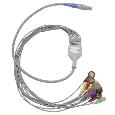 中国 Biomedical Instruments 10 leads Holter ECG Cable and Leadwires 販売のため