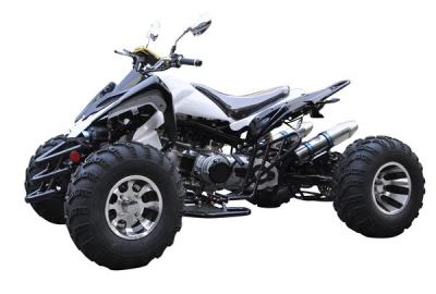 China Adult ATV Dune Buggy 150cc 200cc 250cc Petrol Quad Bike All Terrain Vehicle for sale