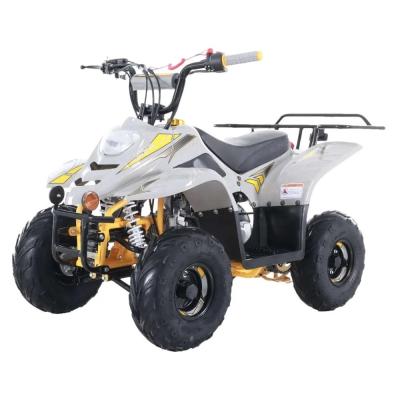 China Easy to ride 110cc quad bike adults 4 wheeler off-road atv motorcycles for sale