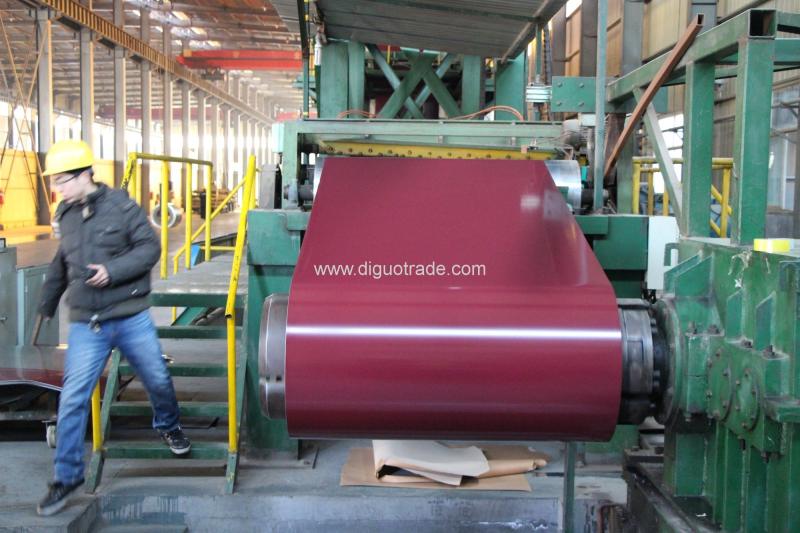 Verified China supplier - SHANDONG DIGUO IMPORT AND EXPORT CO.,LTD