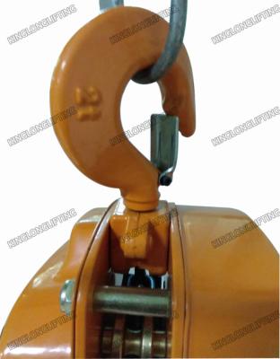 China Reliable Lifting Chain Block Double Enclosure Dust Proof Mechanical Brake Function for sale