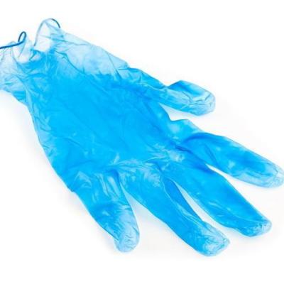 China ISO9001 Blue Disposable 8.0g Food Service Vinyl Glove for sale