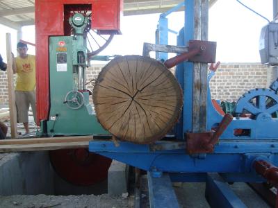 China MJ329 Vertical Band Sawmill with Log Carriage /Manual or electric feeding vertical band saw for sale