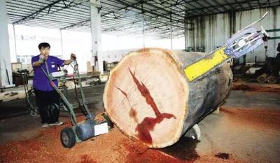China Portable wood slasher chainsaw mill,tree log cutting into shorter parts for sale