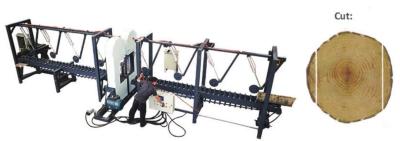 Chine Scierie verticale de bande de lame de jumeau de gestion par ordinateur à vendre, équipement de scie automatique pour scier de rondin à vendre