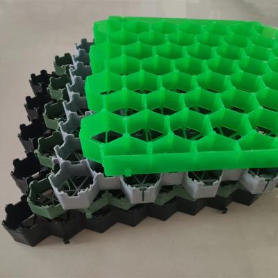 China Customized HDPE Grass Grid Paver for Parking and Erosion Prevention Solutions for sale