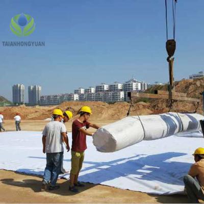China Long-Lasting Sodium Bentonite Geosynthetic Clay Liner for Construction Waterproofing for sale