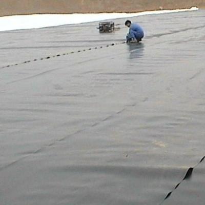 China HDPE Fish Shrimp Farm Pond Liner Geomembrane 0.5mm Thickness ASTM GM13 for Aquaculture for sale