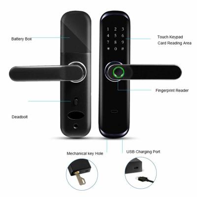 China Cerradura de puerta digital de la huella dactilar de la cerradura de Tuya Wifi de la seguridad inteligente elegante casera del App en venta
