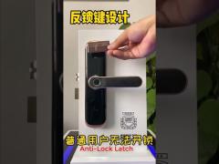 Tuya APP Wifi Keyless Biometric fingerprint door lock