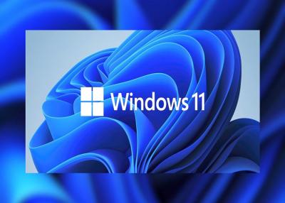 China Pacote completo TPM 2,0 Microsoft Windows 11 da chave da licença do OEM DVD Windows de UEFI pro à venda