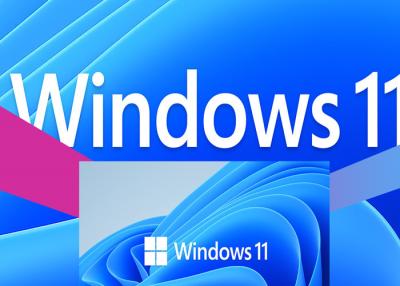 Chine WDDM 2.X Microsoft Windows 11 4GB professionnels RAM 100% activent UEFI en ligne à vendre