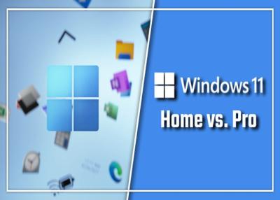 China TPM 2.0 Microsoft Windows 11 Professional OEM Box Win 11 Home Activation Key Online for sale