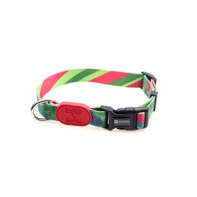 China Watermelon Dog Collar And Leash Harness Reflective Dog Accessories for sale