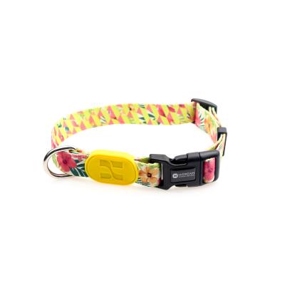 China 2.5cm 1 Inch Flower Polyester Dog Collars And Harnesses Soft Puppy Collar Outdoor for sale