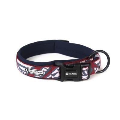China Personalized Reflective Martingale Dog Collars And Matching Leashes Combo for sale