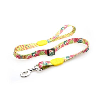 China 7.62m 25 Foot Nylon Anti Pull Dog Leash Around Chest Mouth Waist for sale