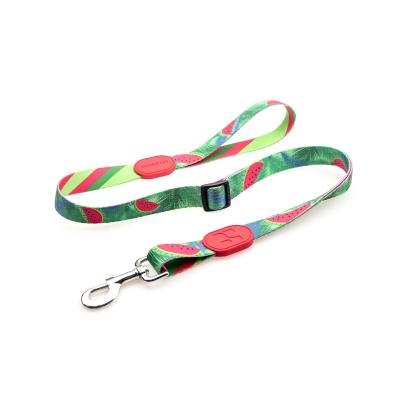 China 6.1m 20 Foot Anti Pull Dog Lead Collar For Yard Disabled Owners Extra Long for sale