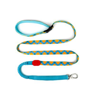 China 10 Ft Quick Release Hunting Dog Leash Polyester Fabric American Style for sale