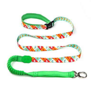 China 50 Ft 10 Foot Sublimation Dog Lead Pet Leash Harness Leash Combo for sale