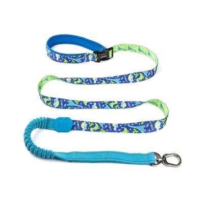 China Rpet Fiber Quick Release Padded Dog Leash Soft Neoprene 10 Foot 12 Foot 15 Foot for sale