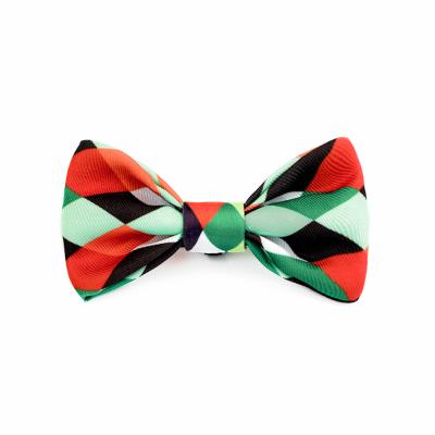 China 3.94in 10cm Red Rainbow Dog Bowtie Plaid Dog Collar With Bow for sale