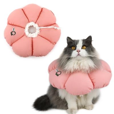 Chine Rose de H HiDREAM Cat Cone Collar à vendre
