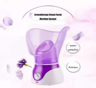 China home beauty instrument steaming machine face - sprayer heating spray steamer for sale