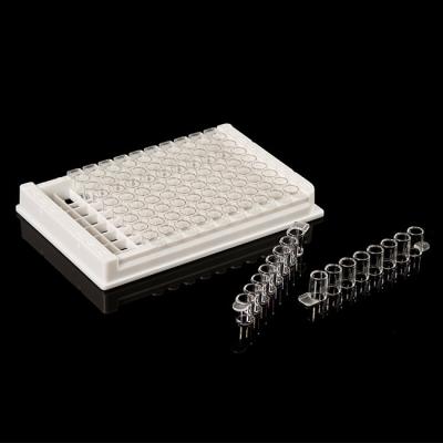 China Abnehmbare PCR-Verbrauchsmaterialien PP 96-Well-ELISA-Platte für das Labor zu verkaufen