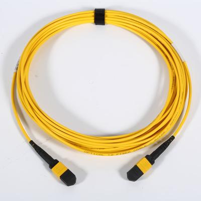 Chine La correction optique de fibre de MPO MTP câblent les noyaux OM3 OM4 LSZH de 8/12 /24/48 à vendre