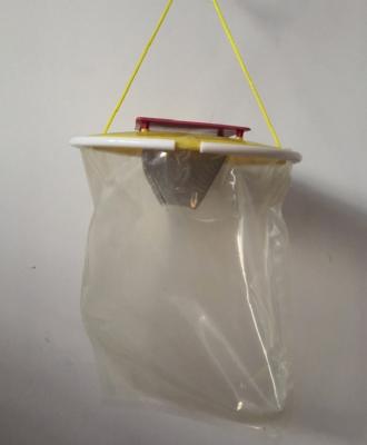 China Newest outdoor fly trap disposable fly trap for farm gardon for sale