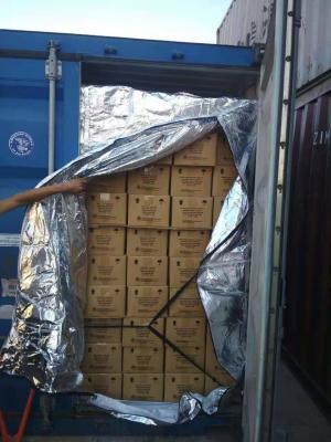 Chine Poudre en vrac sèche en aluminium Transportion de conteneur de revêtement du film 20FT à vendre