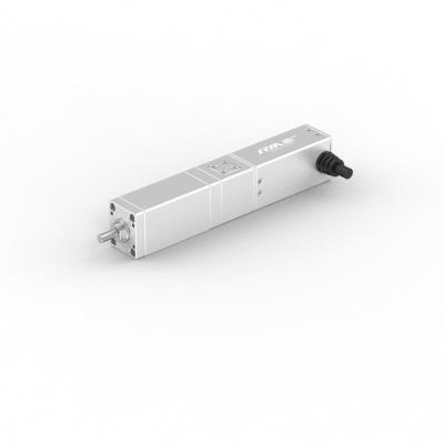 China High Precise Straight Electric Linear Actuator With Servo Motor for sale