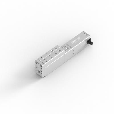 China Precise Industrial Linear Positioning Actuator Straight Platform for sale
