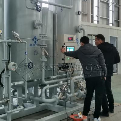 Chine Explosive Proof IP65 Grade Nitrogen Gas Plant For Ferrous Powder à vendre