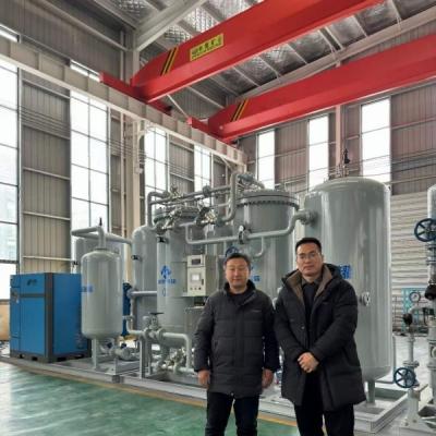 China Low Power Consumption Explosive Proof IP65 Grade Nitrogen Gas Plant en venta