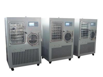 China Fruit Industrial Freeze Dryer Machine  Vacuum Freeze Drying Equipment en venta