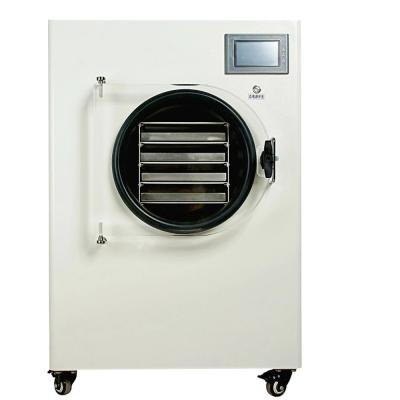 China Vacuum Freeze Dryer Machine  Electric Heating Sublimation Dryer for Vegetable à venda