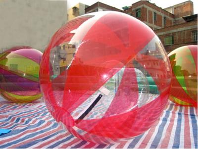 China Bola humana coloreada multi del hámster del agua para la bola que camina inflable 1.0m m TPU de los adultos en venta