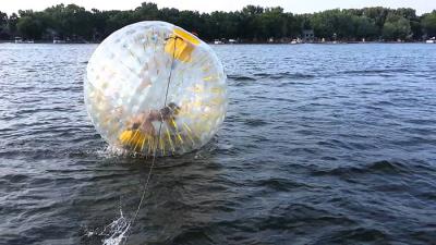 China Bola running da água inflável atrativa do litoral com EN14960 tamanho de 3.0m x de 2.0m à venda