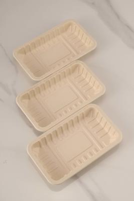 China 1002 Natural Biodegradable Trays Compostable Yes Eco-Friendly and Environmentally Friendly for sale