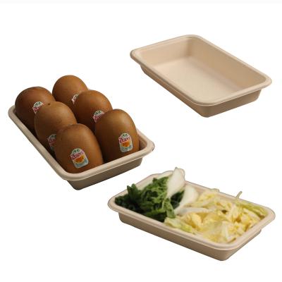 China 2008 Recyclable and Waterproof Meat Tray for Environmentally-Friendly Packaging for sale
