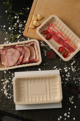 China Various Sizes Available Biodegradable Trays Eco-Friendly Leak-Proof Material for sale