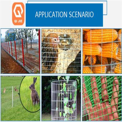 Chine Electro Welded Galvanized Bird Cage Welded Iron Wire Mesh Multifunctional à vendre